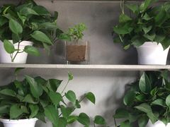 -鱼羊宴烤鱼羊蝎子烧烤(怡馨家园店)