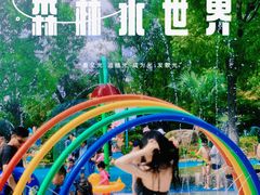 -苏州乐园森林水世界