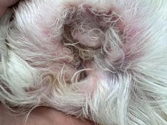 -comecome来吧宠物(奥克斯中心店)