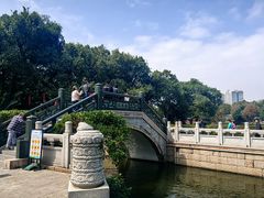 -荔湾湖公园