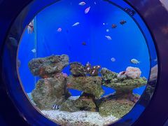 -海合安武汉极地海洋公园