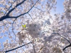 -白塘生态植物园