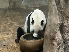 -深圳野生动物园