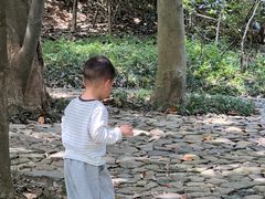 -东明山森林公园