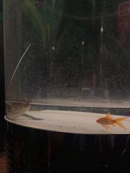 -酷嗒动物文化乐园(cutezoo西溪乐天城店)