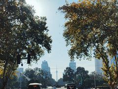 -洛阳周王城天子驾六博物馆