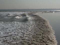 -观潮胜地公园