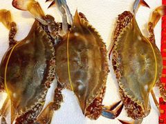 -四海蒸鲜蒸汽海鲜自助(北戴河店)