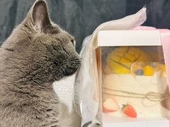 -爱牧宠物医院·猫专科·骨科·内窥镜(甪直店)