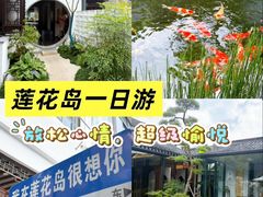 -小陆莲花蟹园农家乐(莲花岛店)