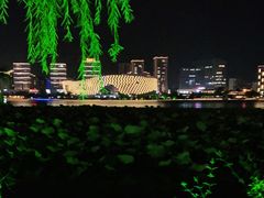 -聚龙湖公园