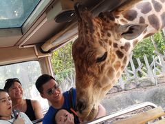 -清迈夜间动物园