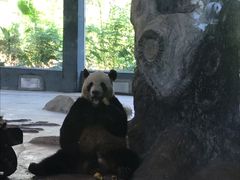 -海南热带野生动植物园