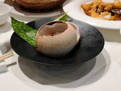 -富淳饭店(陆家嘴保利广场店)