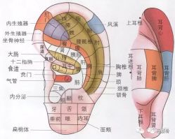 -金都微美·精准护肤·疗愈SPA