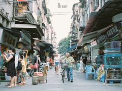 -清平路水族市场