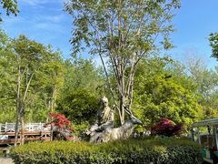 -溱湖国家湿地公园