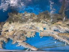 -鹰龙海畔度假酒店(咸祥店)