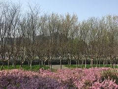 -白塘生态植物园