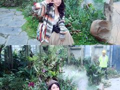 -东莞植物园