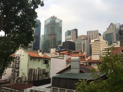 -老伴豆花(麦士威熟食中心店)