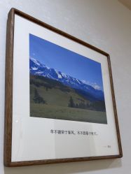 -北京叶子整形美容医院