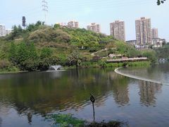 -重庆彩云湖湿地公园