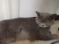 -伟伟宠物医院·CT影像中心·瑞派犬猫综合性门诊(汉口总院)