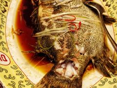 -豪廷轩中餐厅·特色云南菜(温德姆至尊豪廷大酒店)