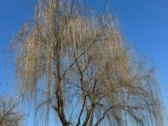 -海底捞火锅(南京红山常发广场店)