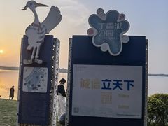 -丁香湖公园
