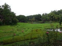 -四季酒店下午茶