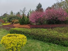 -宝鸡植物园