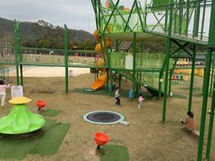 -大屏嶂森林公园