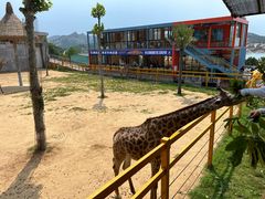 -西霞口神雕山野生动物世界