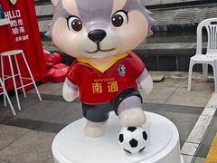 -中南南通体育会展中心