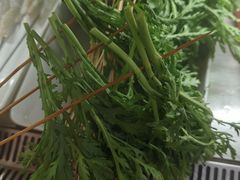 -钢管厂五区小郡肝火锅串串香(总店)