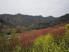 -广州市石门国家森林公园