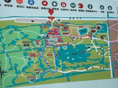 -上海海湾国家森林公园