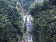 -龙湾潭国家森林公园