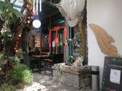 -喵屿·大理花园猫咖