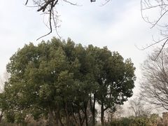 -七桥瓮公园