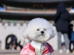 -景福宫