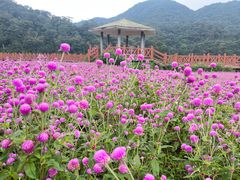 -广州市石门国家森林公园