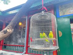 -上海老饭店(北京分店)