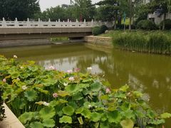 -春风习习