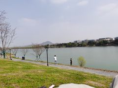 -羊山湖公园