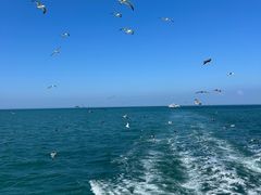 -海驴岛(荣成市)