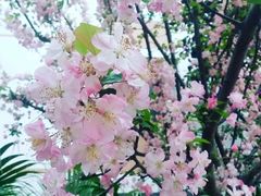 -北国超市(天河店)