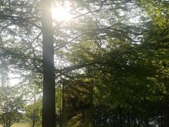 -祝甸砖窑文化馆